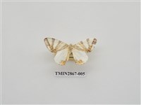 藏品(尺蛾592.1)的圖片